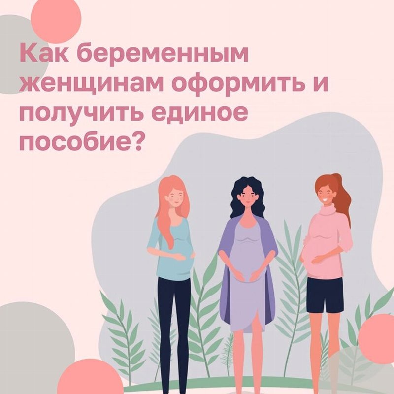 Как беременным женщинам оформить и получить единое пособие?