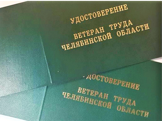 Ветеранам труда Челябинской области повысили размер ежемесячной денежной выплаты