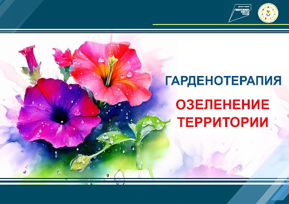 Гарденотерапия. Озеленение территории