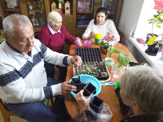 Гарденотерапия - озеленяем помещение