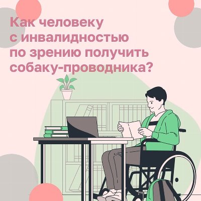 Как человеку с инвалидностью по зрению получить собаку-проводника?