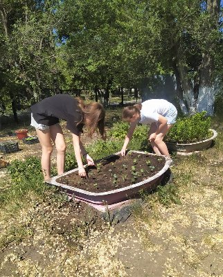 Трудоустройство несовершеннолетних