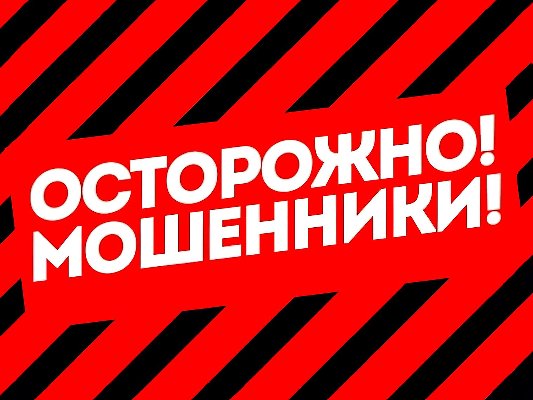 Осторожно❗Финансовая пирамида❗